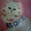 D'Eliany - TOP CHATTE !!