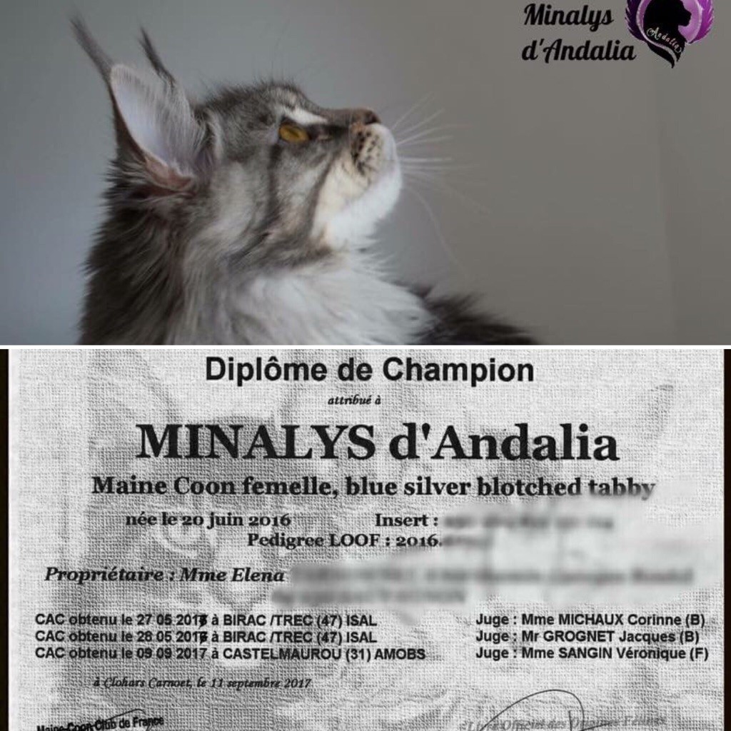 D'Andalia - Minalys d Andalia CHAMPIONNE