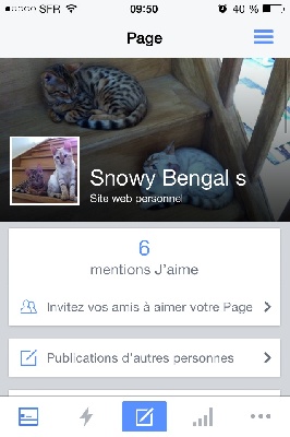Snowy Bengal's - Notre page Facebook