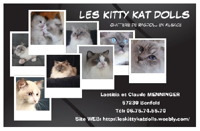 Des Kitty Kat Dolls - Notre site internet est en ligne