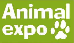 Big-Bengal - Rendez-vous à ANIMAL EXPO à Paris Vincennes
