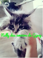 Nelly des amours de gipsy