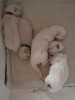 De La Petite Ourse - 4 chatons sont nés le 20 décembre :-) 