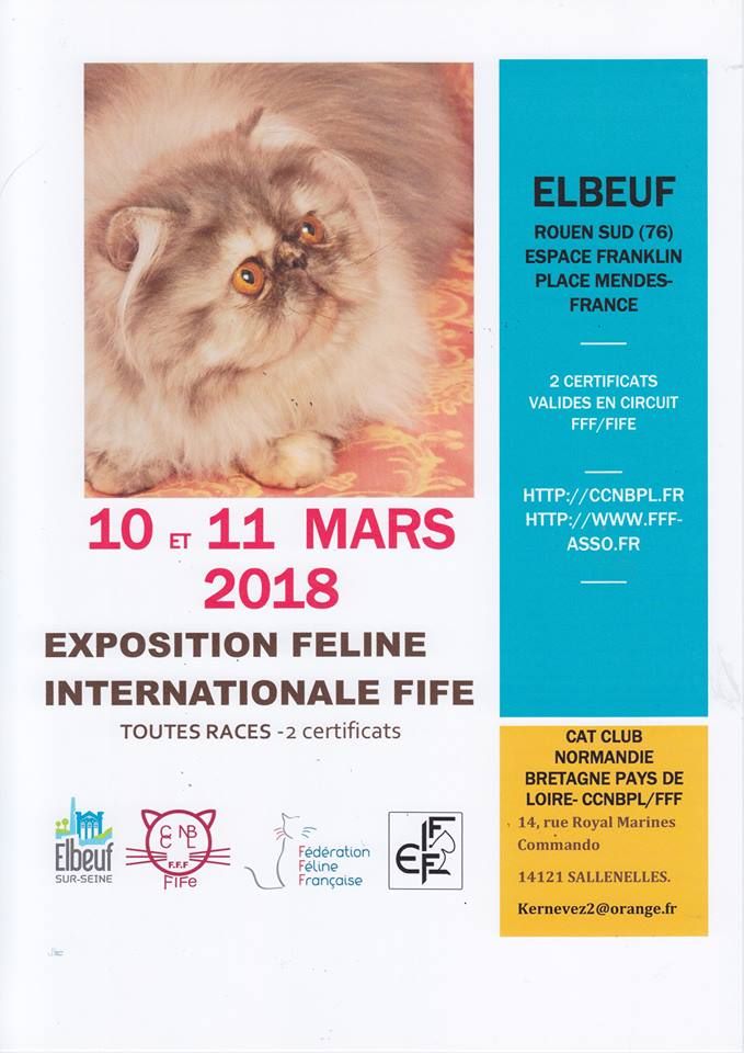 La Perle Des Anges - Exposition FiFe Evreux (76) les 10 et 11 mars 2018