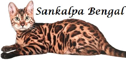 Sankalpa Bengal - mise a jour !