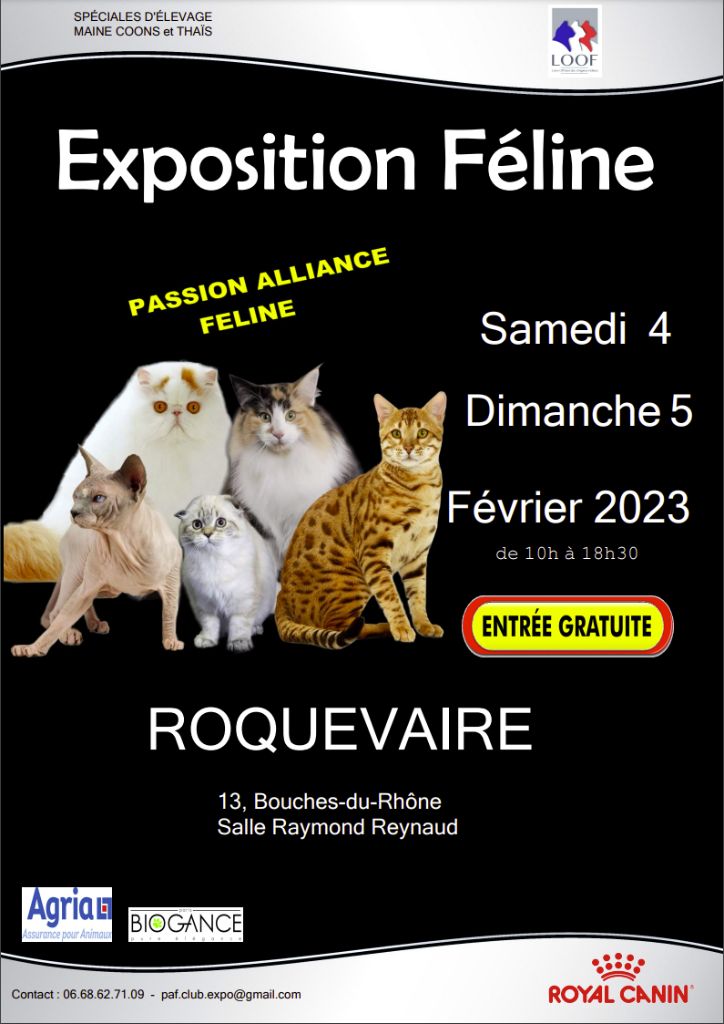 Le joyau de mes rêves - Exposition féline de Roquevaire (13) le 5 février 2023