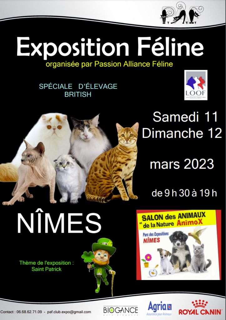 Le joyau de mes rêves - Exposition féline de Nîmes (30) 11 et 12 mars 2023