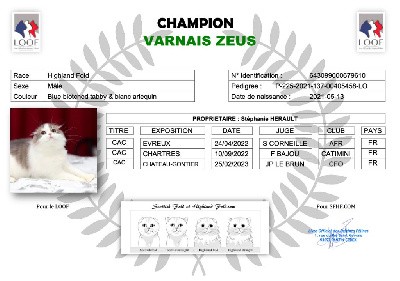 CH. varnais Zeus