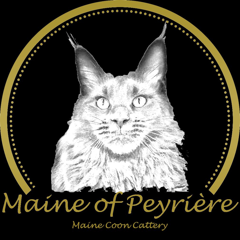 Maine Of Peyriere - Welcome !!!