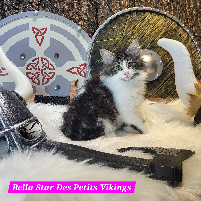 Bella Star Des Petits Vikings