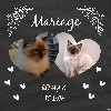 De La Closerie Deval - Mariage Ragdolls janvier 2023