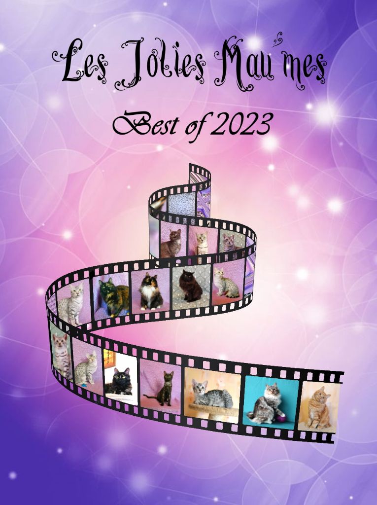 Des Jolies Mau'mes - Best of 2023