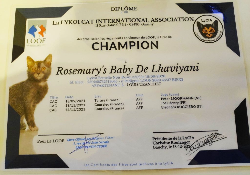 Des Hotsteppers - Rosemary s baby de Lhaviyani _ Championne