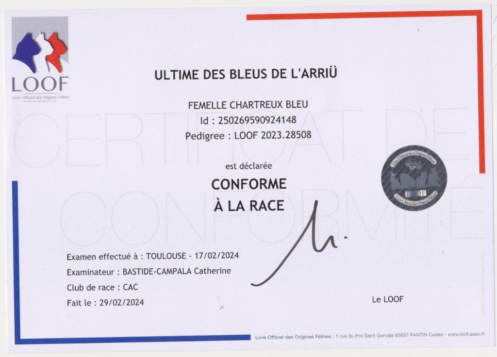 Des Bleus De L'Arriü -  Pour un  élevage de Qualité dans le Respect de la Race