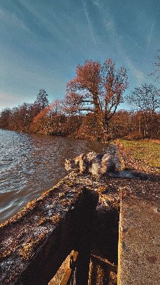 CH. Fuu genshin du marais de rum