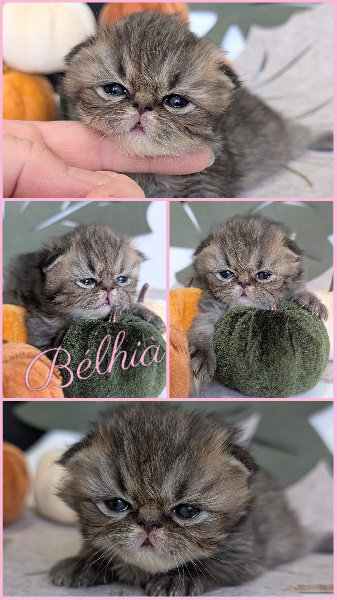 Bélhià 