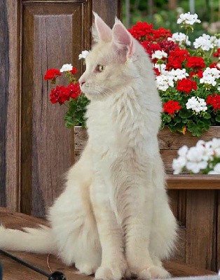 Winnie p des huit chemins