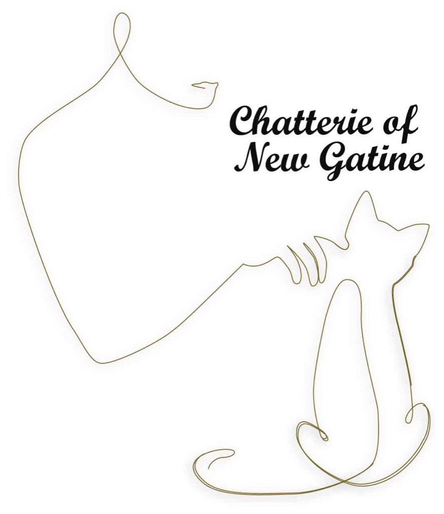 Of New Gatine - Page Facebook