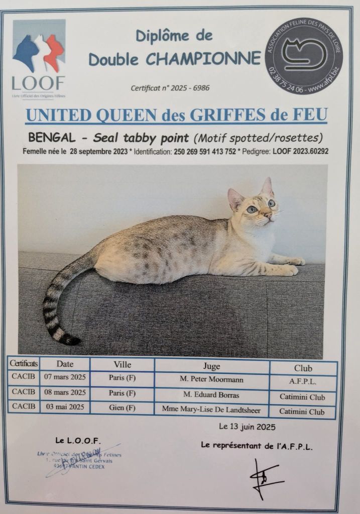 CH. United queen des griffes de feu