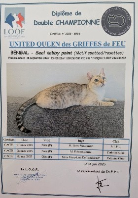 CH. United queen des griffes de feu