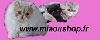 de la jéroline - www.miaoushop.fr  boutique accessoires pour chat