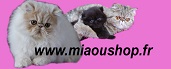 de la jéroline - www.miaoushop.fr  boutique accessoires pour chat